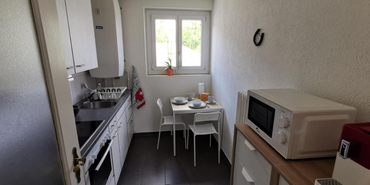 Helvetia 2 Zimmer Apartment Mit Parkplatz Zurique Exterior foto